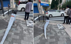 訪日ブラジル人が、蛇のコスチュームで歩道を這いずり回り物議に