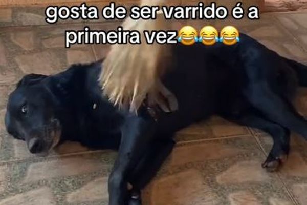 飼い主が掃除をすると、箒で体を掃いてほしいとねだるワンコ【動画】
