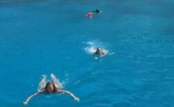 ギリシャの海で泳いでいた2人の女性、ブタに追われる【動画】