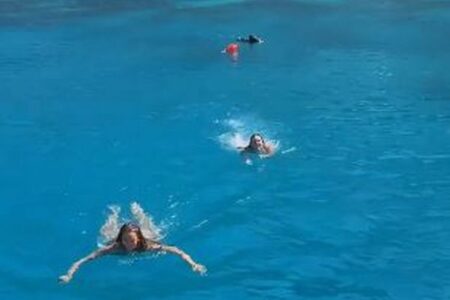 ギリシャの海で泳いでいた2人の女性、ブタに追われる【動画】