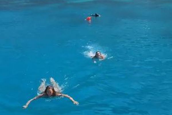 ギリシャの海で泳いでいた2人の女性、ブタに追われる【動画】