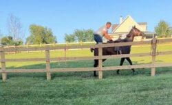 馬に乗ろうとした男性、気が付けば柵をまたいでいた【動画】