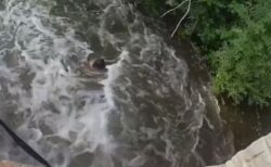 愛犬を救おうとして川で流された男性ら、無事に救助される【動画】