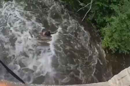 愛犬を救おうとして川で流された男性ら、無事に救助される【動画】