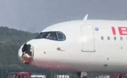 イベリア航空の旅客機、バードストライクで機首が破壊される