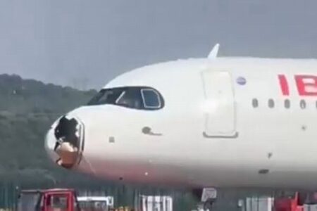 イベリア航空の旅客機、バードストライクで機首が破壊される