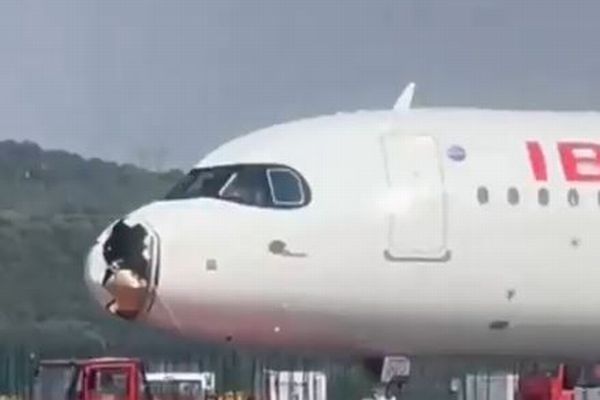 イベリア航空の旅客機、バードストライクで機首が破壊される