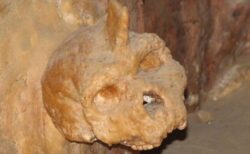 ギリシャの洞窟で発見された頭蓋骨、人類やネアンデルタール人ではないと判明