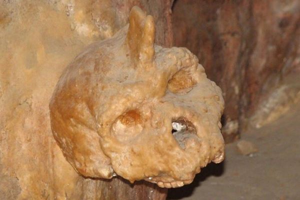 ギリシャの洞窟で発見された頭蓋骨、人類やネアンデルタール人ではないと判明