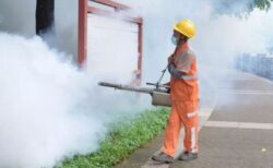中国でチクングニア熱が流行、7000人以上が発症