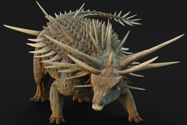 最古のアンキロサウルスの化石、体中にトゲがびっしり生えていた!