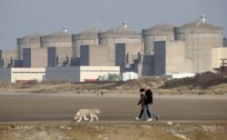 大量のクラゲが発生し、原子力発電所が停止【フランス】