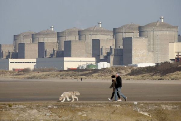 大量のクラゲが発生し、原子力発電所が停止【フランス】