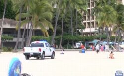 ハワイで津波警報を無視、ビーチから避難しない人々もいた
