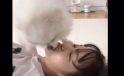 美少女アイドル、キム・チェウォンと犬とのディープキスが波紋を広げている