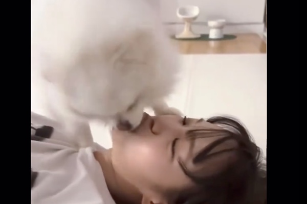 美少女アイドル、キム・チェウォンと犬とのディープキスが波紋を広げている