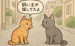 【朗報】「日本式いなくなった猫の探し方」が海外に伝わり、猫見つかる