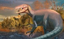 南米で発見された新たな肉食恐竜の化石、口の中にワニの骨が残っていた