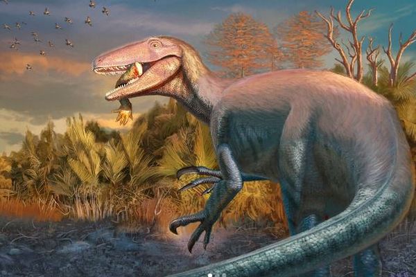 南米で発見された新たな肉食恐竜の化石、口の中にワニの骨が残っていた