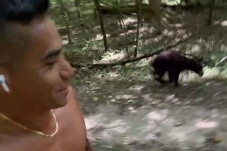 クマの子供、山を走っていた男性を追いかけ続ける【動画】