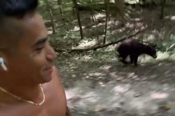クマの子供、山を走っていた男性を追いかけ続ける【動画】