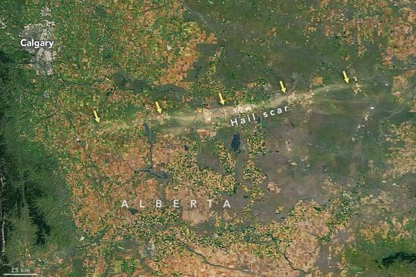 カナダで雹が地上に残した傷跡、NASAの衛星が撮影