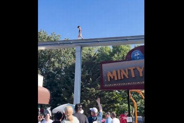 アメリカの遊園地で高架橋に幼い子供、歩く姿に人々が冷や冷や【動画】