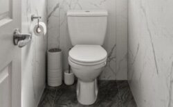 トイレでスマートフォンを使う人は、痔になる可能性が高い