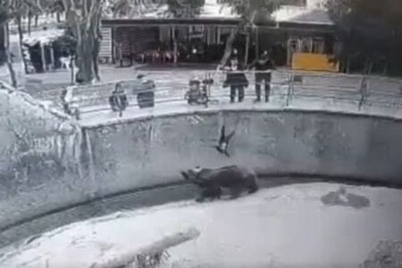 動物園でクマの囲いの中に娘を投げ込んだ母親、3年後に同じ娘を刺殺