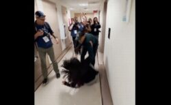 移民・関税執行局の職員が女性に暴力、激しく床に突き飛ばす【動画】