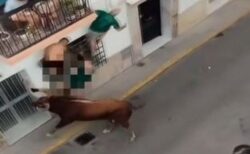 スペインの祭りで、路上にいた男性が牛の角に何度も刺され死亡