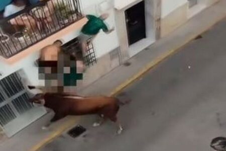 スペインの祭りで、路上にいた男性が牛の角に何度も刺され死亡