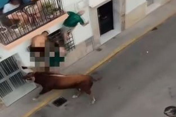 スペインの祭りで、路上にいた男性が牛の角に何度も刺され死亡