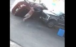ガソリンスタンドにいた男性、暴走してきた車を間一髪で避ける【動画】