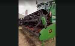 農家がコンバインをグリルに改造、大量のチキンローストを焼き上げる【動画】