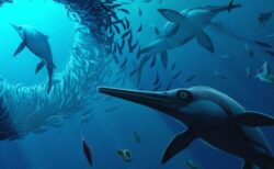 魚竜「イクチオサウルス」の新種、イングランドで化石を発見