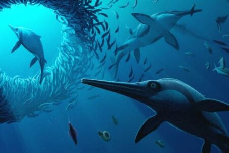 魚竜「イクチオサウルス」の新種、イングランドで化石を発見