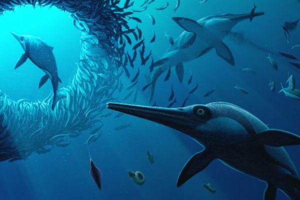 魚竜「イクチオサウルス」の新種、イングランドで化石を発見