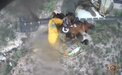 山で転落し、歩行不能になった犬を、警察がヘリコプターで救出【動画】