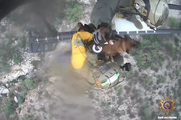 山で転落し、歩行不能になった犬を、警察がヘリコプターで救出【動画】