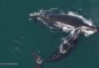 ガザ地区の人道状況が悪化、イスラエルが支援物資の流入制限を継続