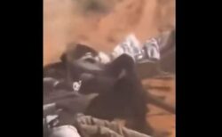 スーダン西部で準軍事組織が民族浄化か？2000人の大量虐殺が行われた可能性