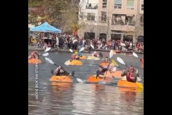 オレゴン州の湖で、人々がくりぬかれたカボチャに乗り競争【動画】