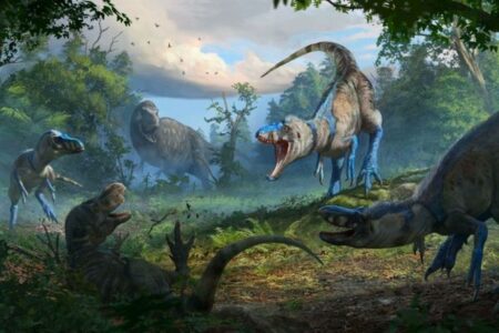 ティラノサウルスの幼体だと思われた化石、別種の恐竜だと判明