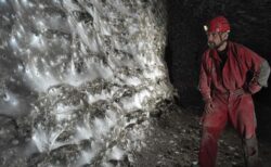 ヨーロッパ南部の洞窟で、世界最大級のクモの巣を発見