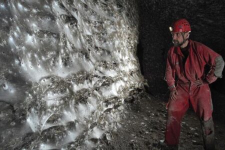 ヨーロッパ南部の洞窟で、世界最大級のクモの巣を発見