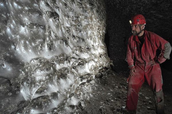 ヨーロッパ南部の洞窟で、世界最大級のクモの巣を発見