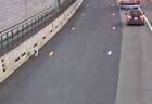 危機一髪！交通量の多いトンネルでワンコを目撃、州警察が出動して保護
