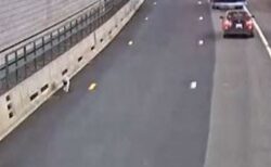 危機一髪！交通量の多いトンネルでワンコを目撃、州警察が出動して保護