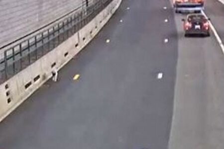 危機一髪！交通量の多いトンネルでワンコを目撃、州警察が出動して保護